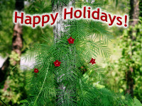 Happy Holidays from Mills & Associates Happy Holidays from Mills & Associates